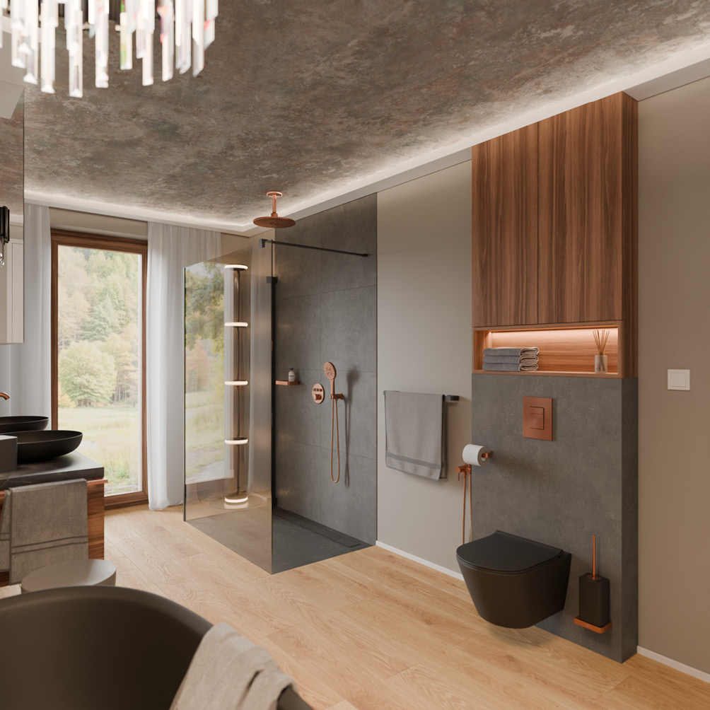 Bathroom – toilet and shower